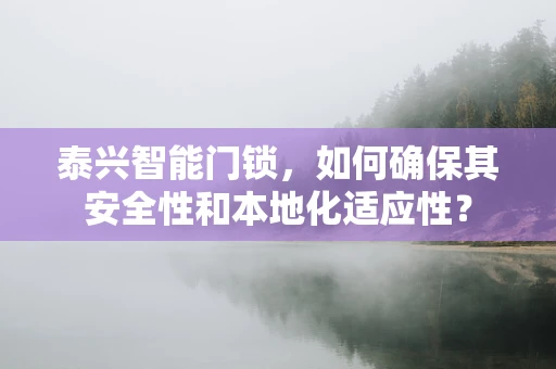 泰兴智能门锁，如何确保其安全性和本地化适应性？