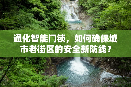 通化智能门锁，如何确保城市老街区的安全新防线？