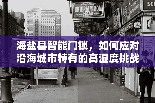 海盐县智能门锁，如何应对沿海城市特有的高湿度挑战？