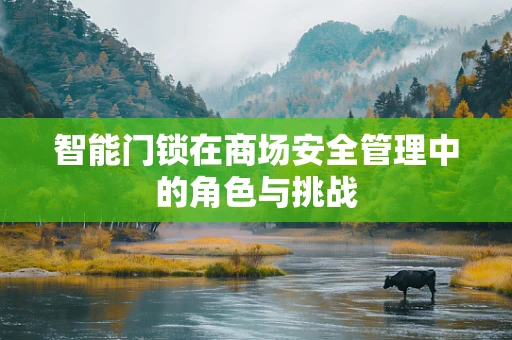 智能门锁在商场安全管理中的角色与挑战