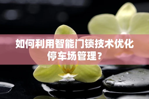 如何利用智能门锁技术优化停车场管理？