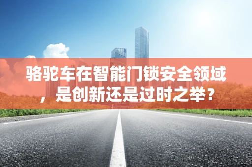 骆驼车在智能门锁安全领域，是创新还是过时之举？