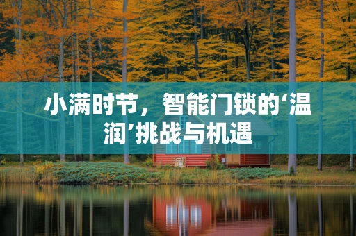 小满时节，智能门锁的‘温润’挑战与机遇