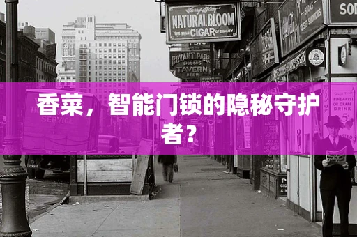 香菜，智能门锁的隐秘守护者？