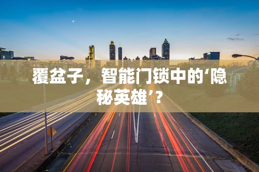 覆盆子，智能门锁中的‘隐秘英雄’？