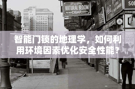 智能门锁的地理学，如何利用环境因素优化安全性能？