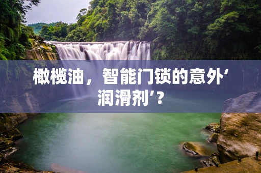 橄榄油，智能门锁的意外‘润滑剂’？