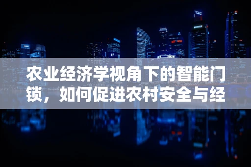 农业经济学视角下的智能门锁，如何促进农村安全与经济发展的双赢？