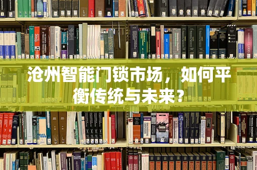 沧州智能门锁市场，如何平衡传统与未来？