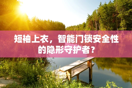 短袖上衣，智能门锁安全性的隐形守护者？