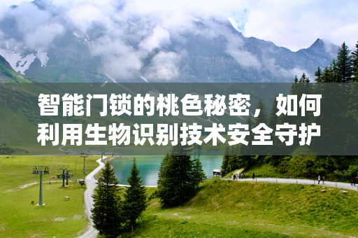 智能门锁的桃色秘密，如何利用生物识别技术安全守护桃之夭夭？