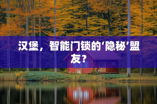 汉堡，智能门锁的‘隐秘’盟友？