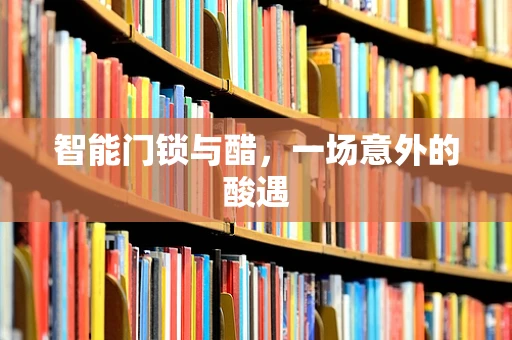 智能门锁与醋，一场意外的酸遇
