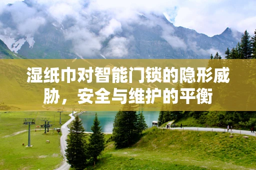 湿纸巾对智能门锁的隐形威胁，安全与维护的平衡
