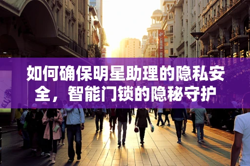 如何确保明星助理的隐私安全，智能门锁的隐秘守护