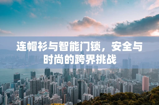 连帽衫与智能门锁，安全与时尚的跨界挑战