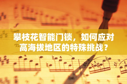 攀枝花智能门锁，如何应对高海拔地区的特殊挑战？