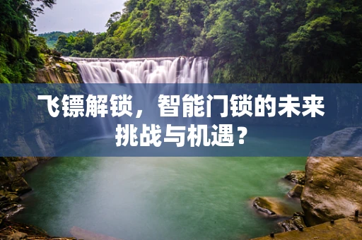 飞镖解锁，智能门锁的未来挑战与机遇？