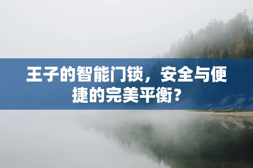 王子的智能门锁，安全与便捷的完美平衡？