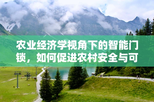 农业经济学视角下的智能门锁，如何促进农村安全与可持续发展的新路径？