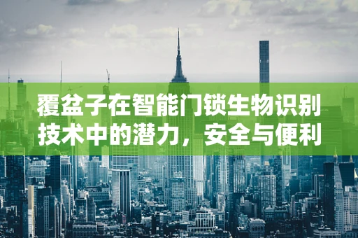 覆盆子在智能门锁生物识别技术中的潜力，安全与便利的完美平衡？