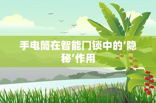 手电筒在智能门锁中的‘隐秘’作用
