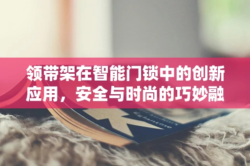 领带架在智能门锁中的创新应用，安全与时尚的巧妙融合？