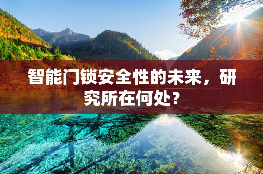 智能门锁安全性的未来，研究所在何处？
