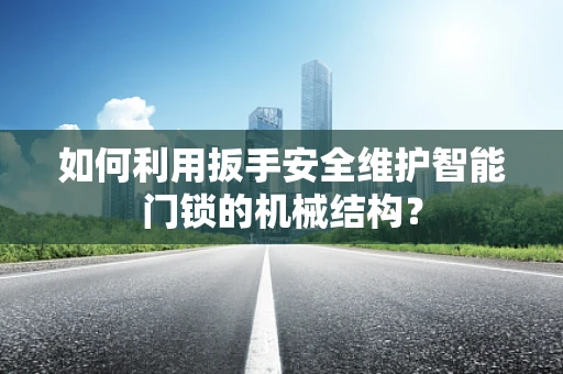 如何利用扳手安全维护智能门锁的机械结构？
