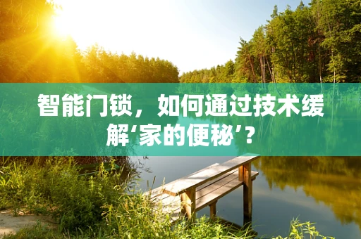 智能门锁，如何通过技术缓解‘家的便秘’？