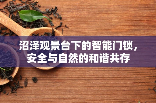 沼泽观景台下的智能门锁，安全与自然的和谐共存