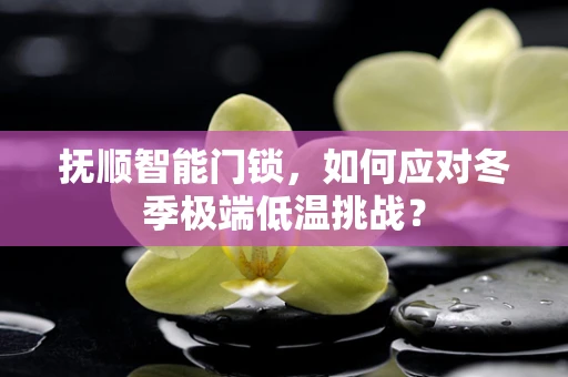 抚顺智能门锁，如何应对冬季极端低温挑战？
