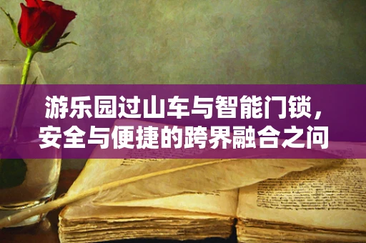 游乐园过山车与智能门锁，安全与便捷的跨界融合之问？