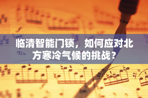 临清智能门锁，如何应对北方寒冷气候的挑战？