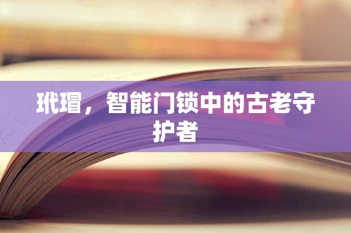 玳瑁，智能门锁中的古老守护者