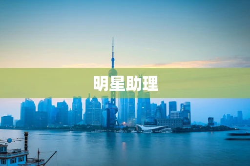 明星助理