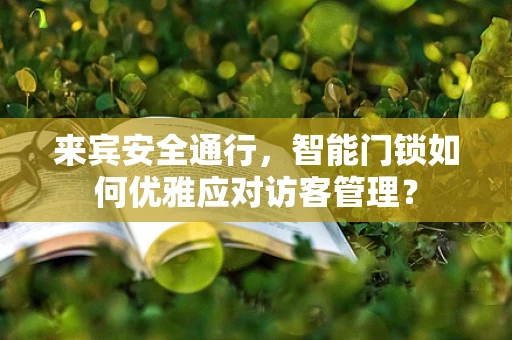 来宾安全通行，智能门锁如何优雅应对访客管理？