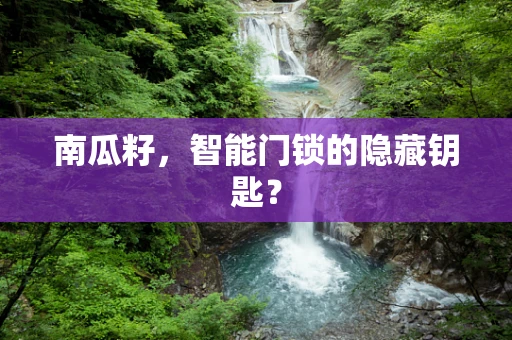 南瓜籽，智能门锁的隐藏钥匙？