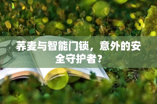 荞麦与智能门锁，意外的安全守护者？