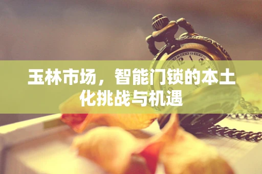 玉林市场，智能门锁的本土化挑战与机遇