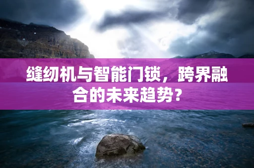 缝纫机与智能门锁，跨界融合的未来趋势？