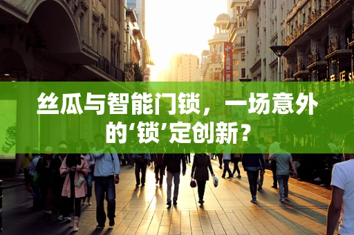 丝瓜与智能门锁，一场意外的‘锁’定创新？
