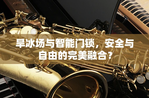 旱冰场与智能门锁，安全与自由的完美融合？