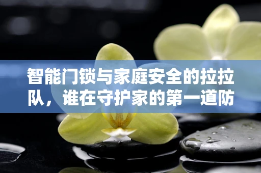 智能门锁与家庭安全的拉拉队，谁在守护家的第一道防线？