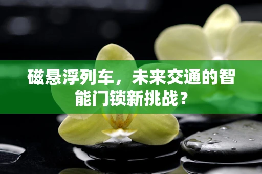 磁悬浮列车，未来交通的智能门锁新挑战？
