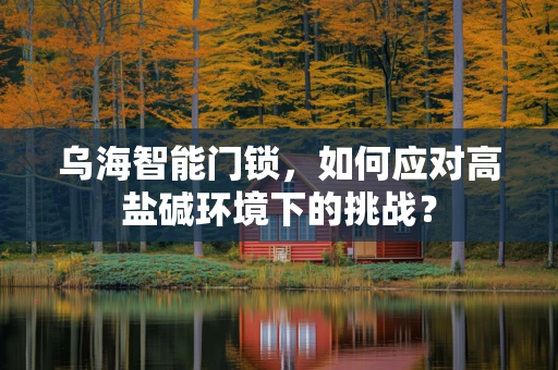 乌海智能门锁，如何应对高盐碱环境下的挑战？