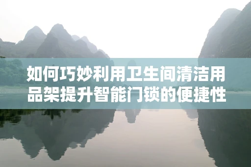 如何巧妙利用卫生间清洁用品架提升智能门锁的便捷性与卫生？