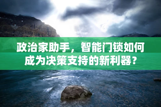 政治家助手，智能门锁如何成为决策支持的新利器？
