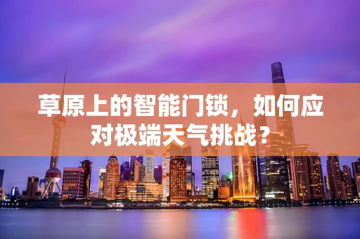 草原上的智能门锁，如何应对极端天气挑战？