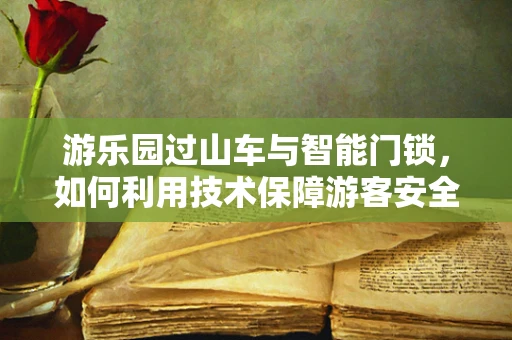 游乐园过山车与智能门锁，如何利用技术保障游客安全？
